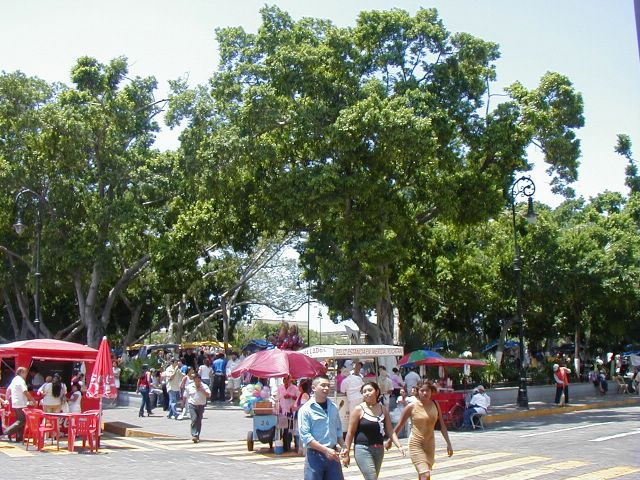 p4100812.jpg