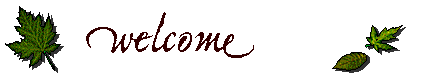 banner graphic