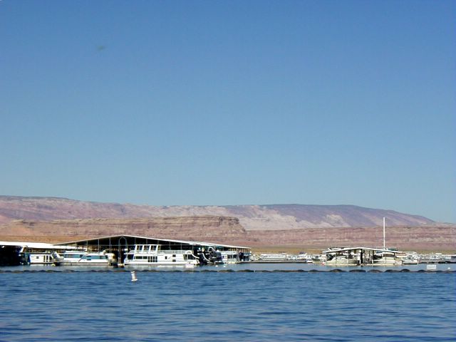 p9261136.jpg
